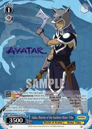 Sokka: Warrior of the Southern Water Tribe