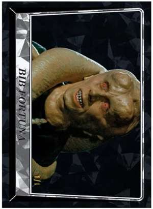 Bib Fortuna