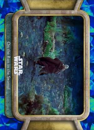 On the Run in the Swamp!