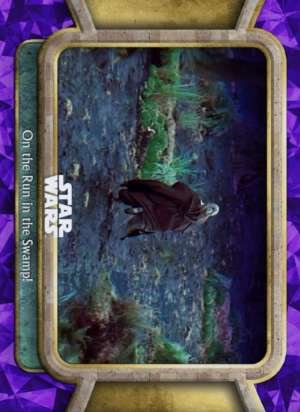 On the Run in the Swamp!