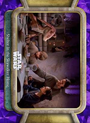 Shelter in the Skywalker Home