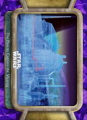 The Plan to Capture the Viceroy
