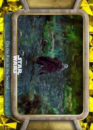 On the Run in the Swamp!