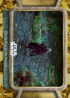 On the Run in the Swamp!