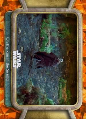 On the Run in the Swamp!