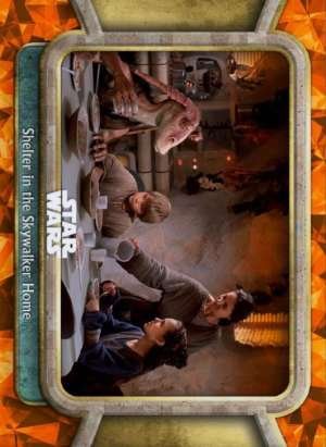 Shelter in the Skywalker Home