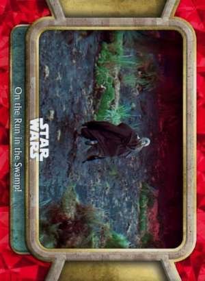 On the Run in the Swamp!