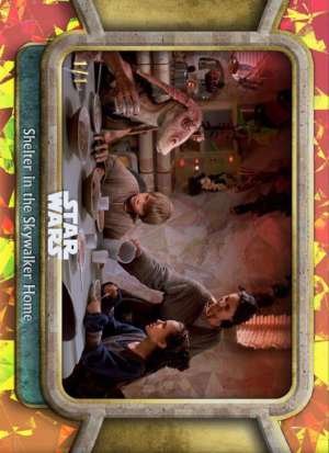 Shelter in the Skywalker Home