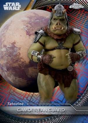 Gamorrean Guard - Tatooine