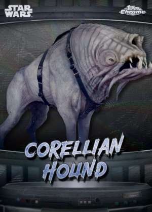 Corellian hound - Corellia