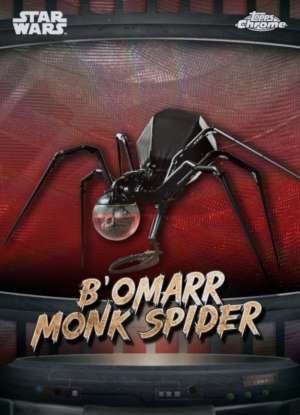 B'omarr monk spider - Tatooine