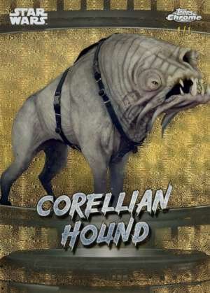 Corellian hound - Corellia
