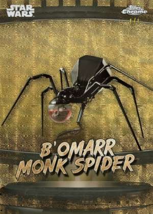 B'omarr monk spider - Tatooine