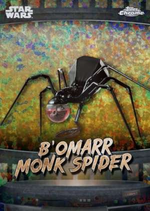 B'omarr monk spider - Tatooine