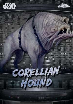 Corellian hound - Corellia