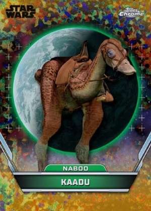 Kaadu – Naboo
