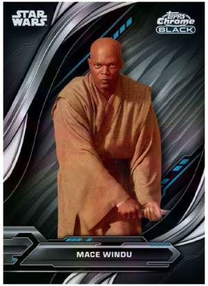 Mace Windu - Star Wars: Attack of the Clones