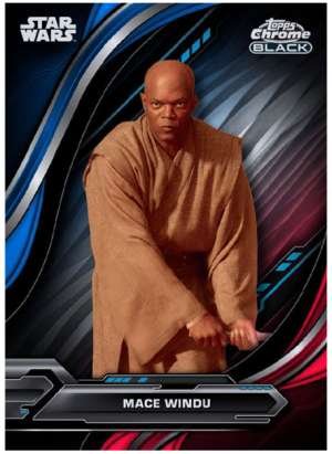 Mace Windu - Star Wars: Attack of the Clones