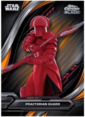 Praetorian Guard - Star Wars: The Last Jedi