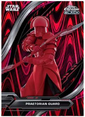 Praetorian Guard - Star Wars: The Last Jedi