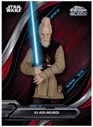 Ki-Adi-Mundi - Star Wars: Attack of the Clones