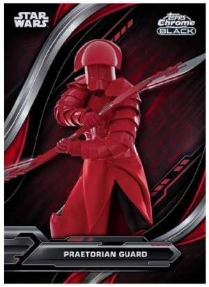 Praetorian Guard - Star Wars: The Last Jedi