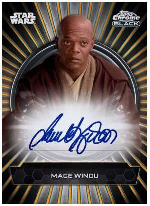 Samuel L. Jackson as Mace Windu