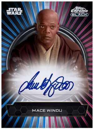 Samuel L. Jackson as Mace Windu