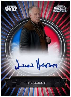 Werner Herzog as The Client