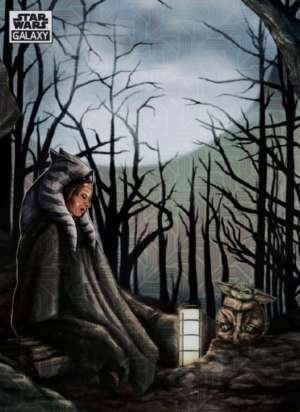 Communion in the Force - Dianne Vaznelis