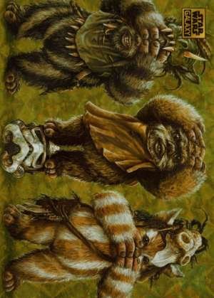 Ewok No Evil - Craig Skaggs