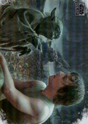 Training With Yoda – Joe Corroney