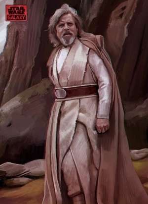 Luke Skywalker – Joel Chaim Holtzman