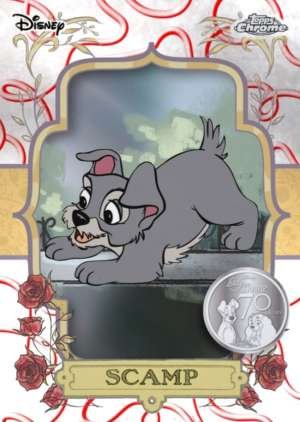 Scamp