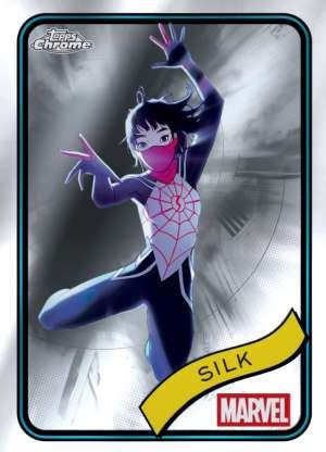 Silk