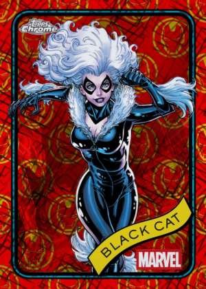 Black Cat