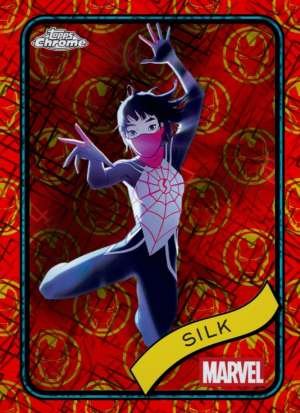 Silk