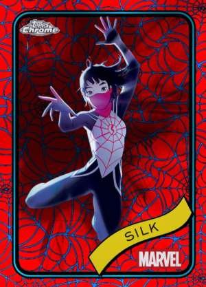 Silk