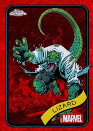 Lizard