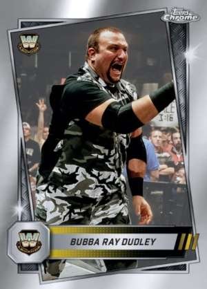 Bubba Ray Dudley - Legend