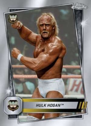 Hulk Hogan - Legend