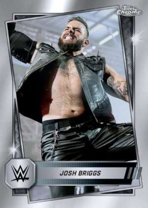 Josh Briggs - NXT
