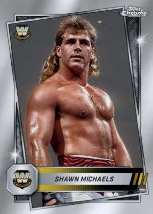 Shawn Michaels - Legend
