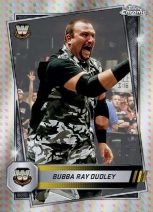 Bubba Ray Dudley - Legend