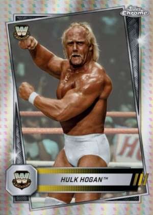 Hulk Hogan - Legend
