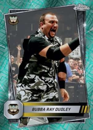 Bubba Ray Dudley - Legend