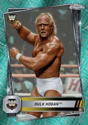 Hulk Hogan - Legend