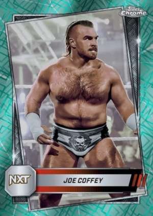 Joe Coffey - NXT