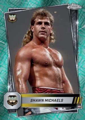 Shawn Michaels - Legend