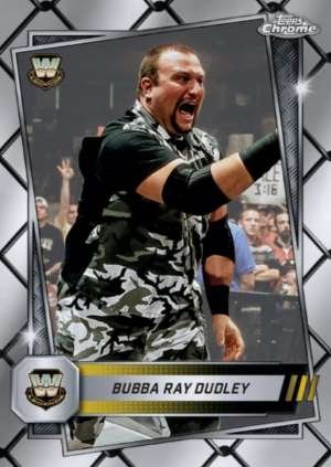 Bubba Ray Dudley - Legend